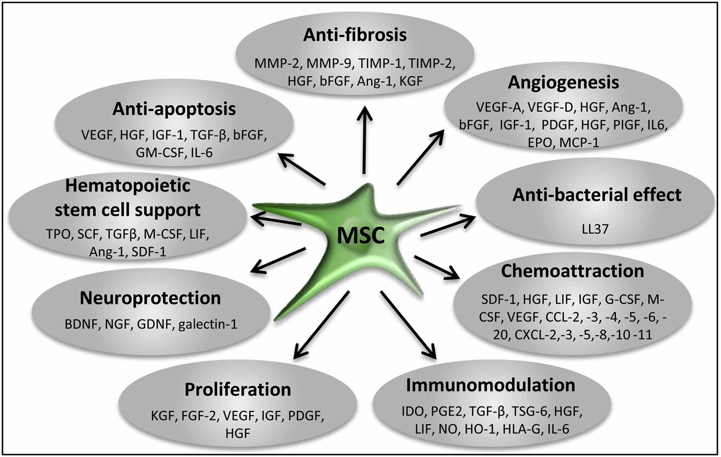 /images/InfoProfessionals/Stem-Cell-Secretome-Paracrine-Factors.jpg /images/InfoProfessionals/Stem-Cell-Secretome-Paracrine-Factors.jpg